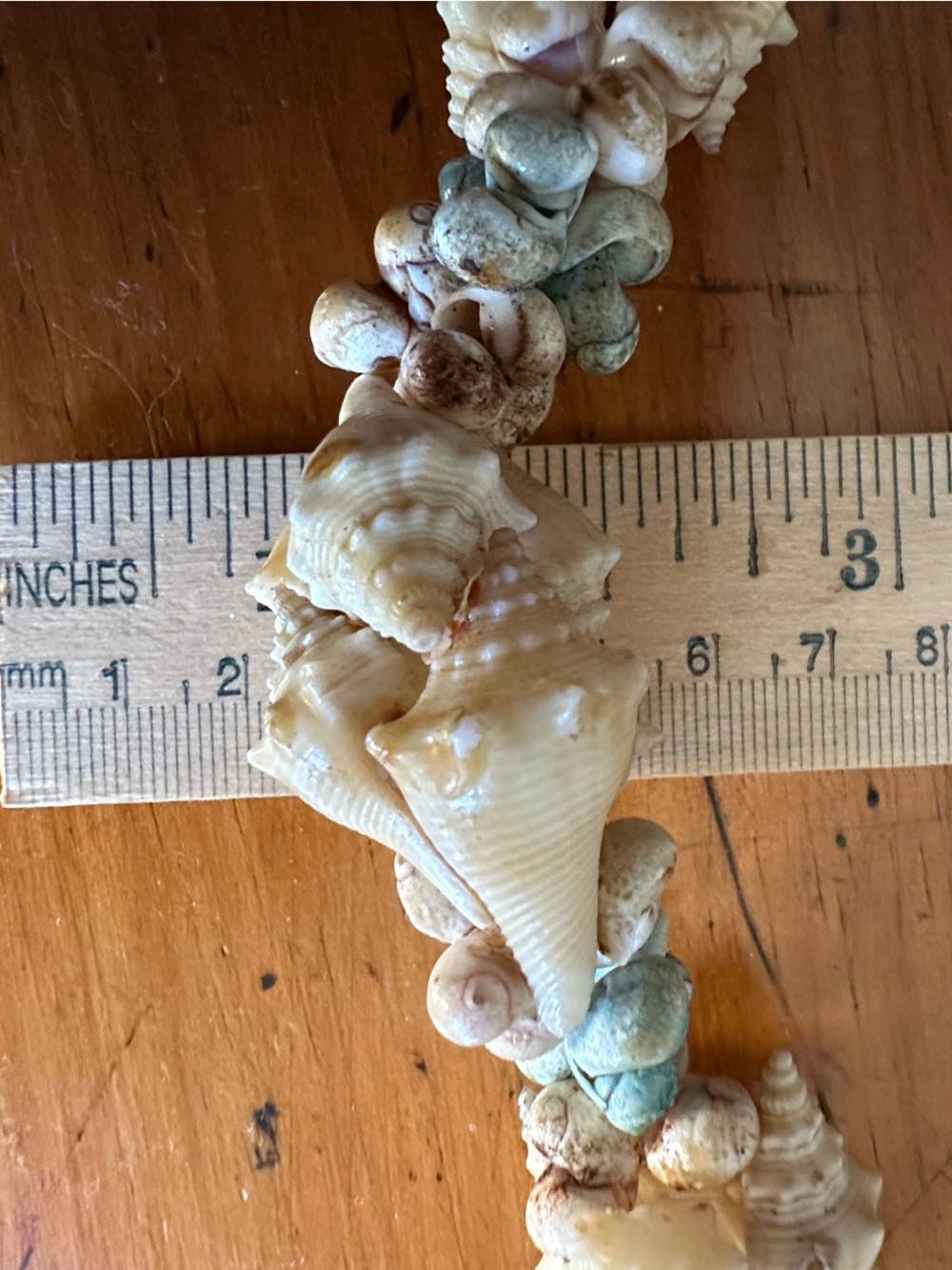 Ocean Washed Shell Necklace - Picture 10 of 13